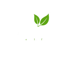Logo Haucks11