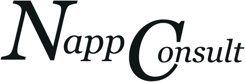 Logo NappConsult