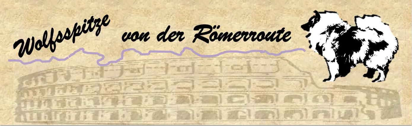 Logo Wolfsspitze von der Römerroute